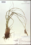 000016781-thumbnail.jpg