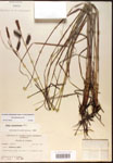 000016782-thumbnail.jpg
