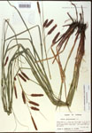 000016783-thumbnail.jpg