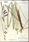000016784-thumbnail.jpg