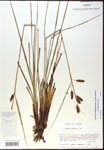 000016785-thumbnail.jpg