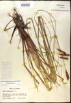 000016786-thumbnail.jpg