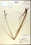 000016787-thumbnail.jpg