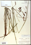 000016788-thumbnail.jpg