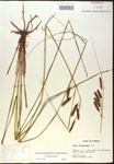000016789-thumbnail.jpg