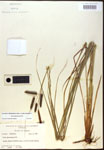 000016790-thumbnail.jpg