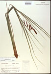000016791-thumbnail.jpg