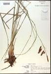 000016792-thumbnail.jpg