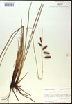 000016793-thumbnail.jpg