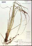 000016794-thumbnail.jpg