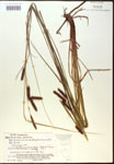 000016796-thumbnail.jpg