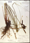 000016797-thumbnail.jpg