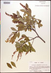 000016849-thumbnail.jpg