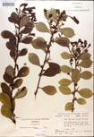 000016943-thumbnail.jpg