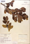 000016945-thumbnail.jpg