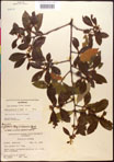 000016946-thumbnail.jpg