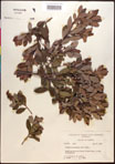 000016967-thumbnail.jpg