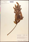 000016969-thumbnail.jpg