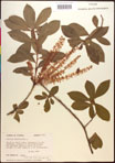 000016997-thumbnail.jpg