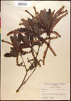 000016998-thumbnail.jpg