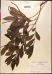 000017000-thumbnail.jpg
