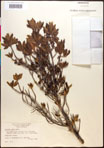 000017020-thumbnail.jpg