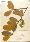 000017070-thumbnail.jpg
