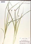 000017128-thumbnail.jpg