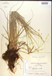 000017130-thumbnail.jpg