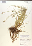 000017132-thumbnail.jpg