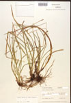 000017134-thumbnail.jpg