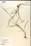 000017136-thumbnail.jpg