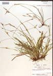 000017138-thumbnail.jpg