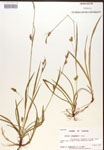 000017139-thumbnail.jpg