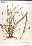 000017140-thumbnail.jpg