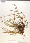 000017141-thumbnail.jpg