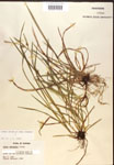 000017142-thumbnail.jpg