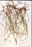 000017143-thumbnail.jpg