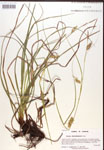 000017144-thumbnail.jpg