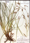 000017145-thumbnail.jpg