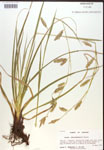 000017146-thumbnail.jpg