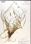 000017147-thumbnail.jpg