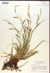 000017148-thumbnail.jpg