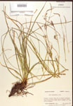 000017149-thumbnail.jpg