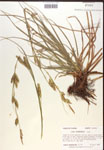 000017152-thumbnail.jpg