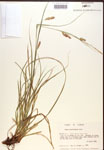 000017154-thumbnail.jpg