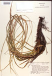 000017157-thumbnail.jpg