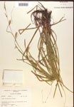 000017158-thumbnail.jpg