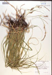 000017162-thumbnail.jpg