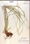 000017163-thumbnail.jpg